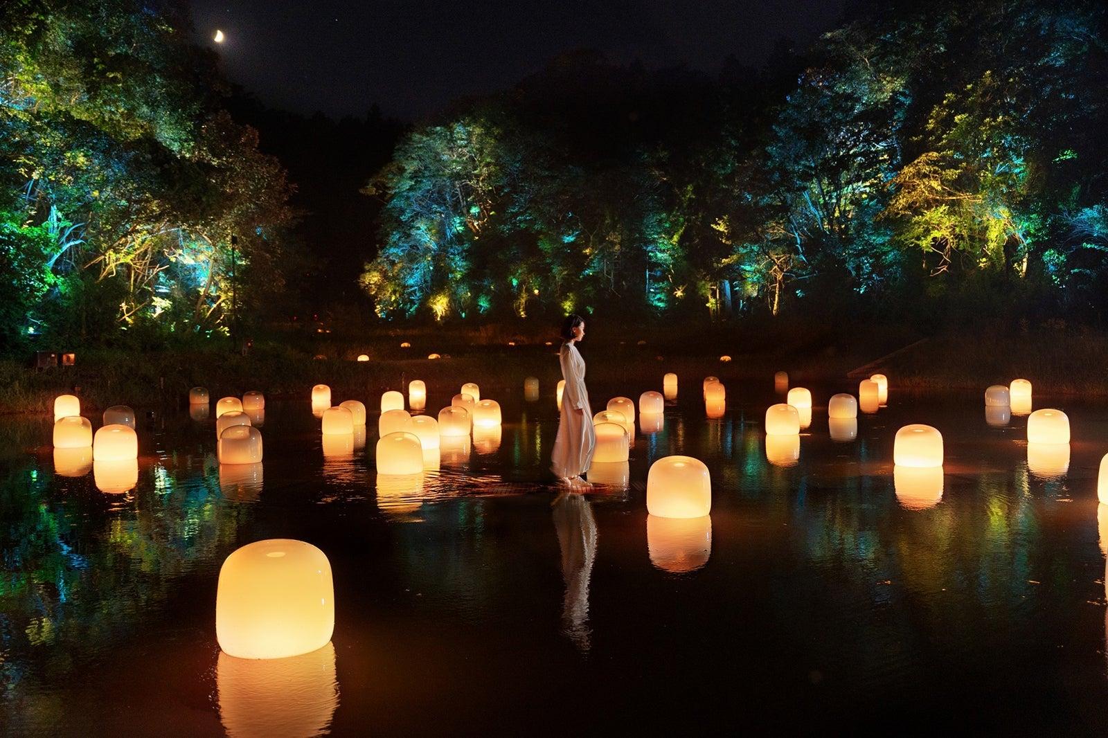 TeamLab:Facebook