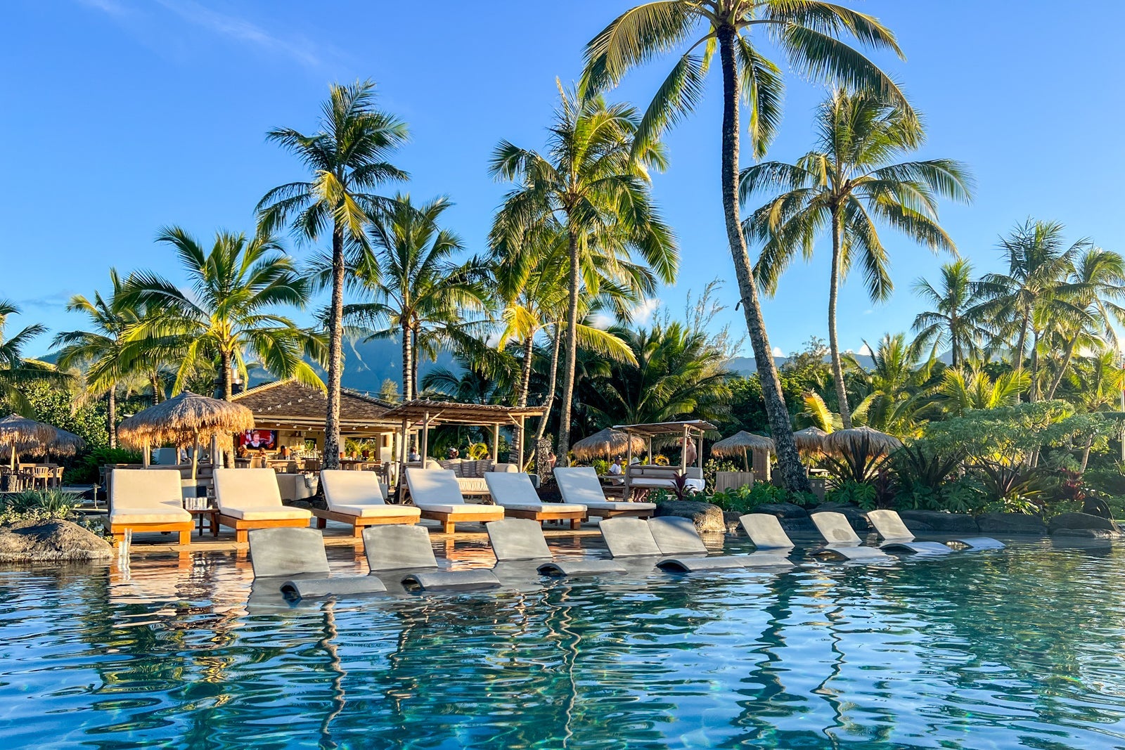 SUMMER HULL/THE POINTS GUY