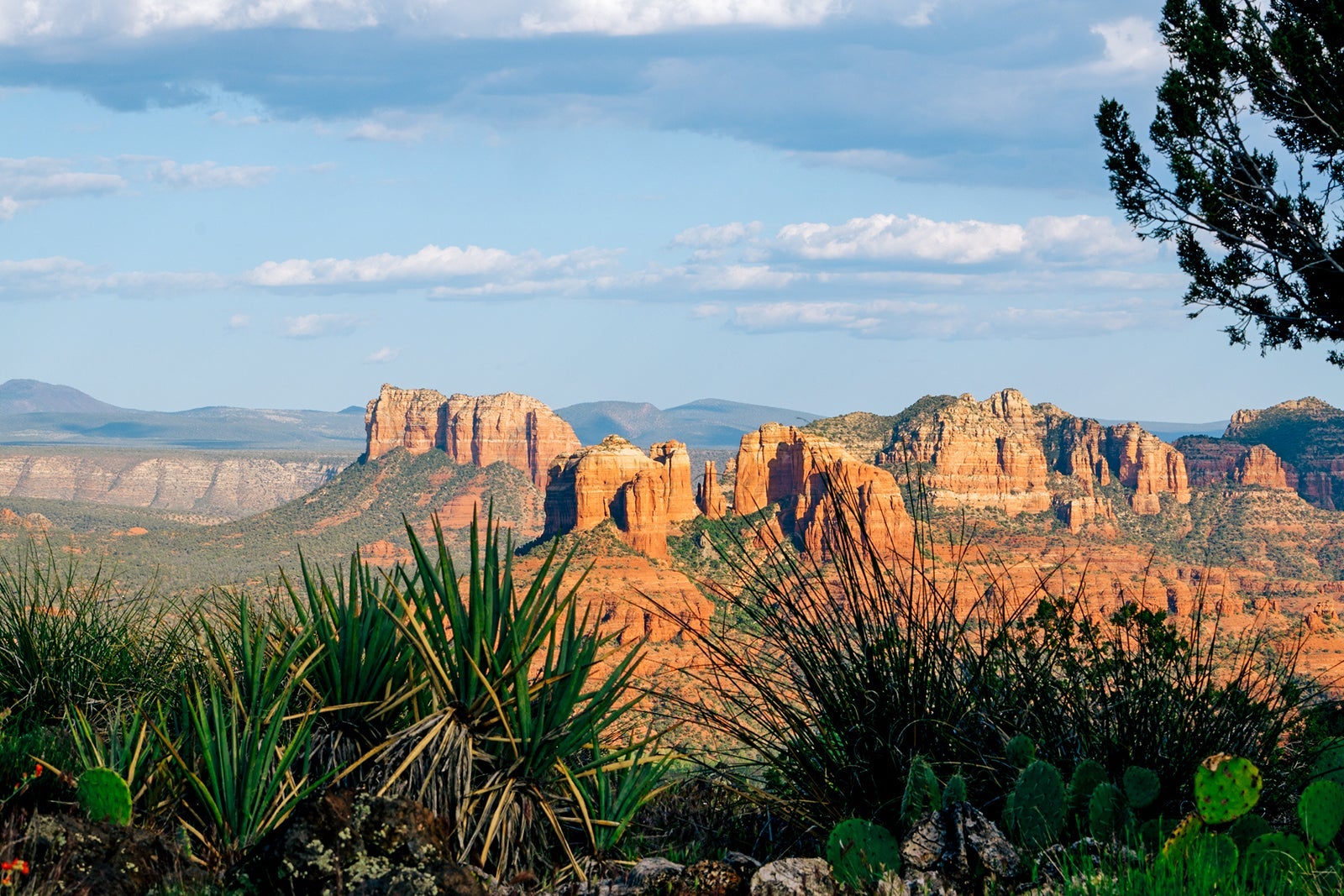 Scenci Sedona Arizona