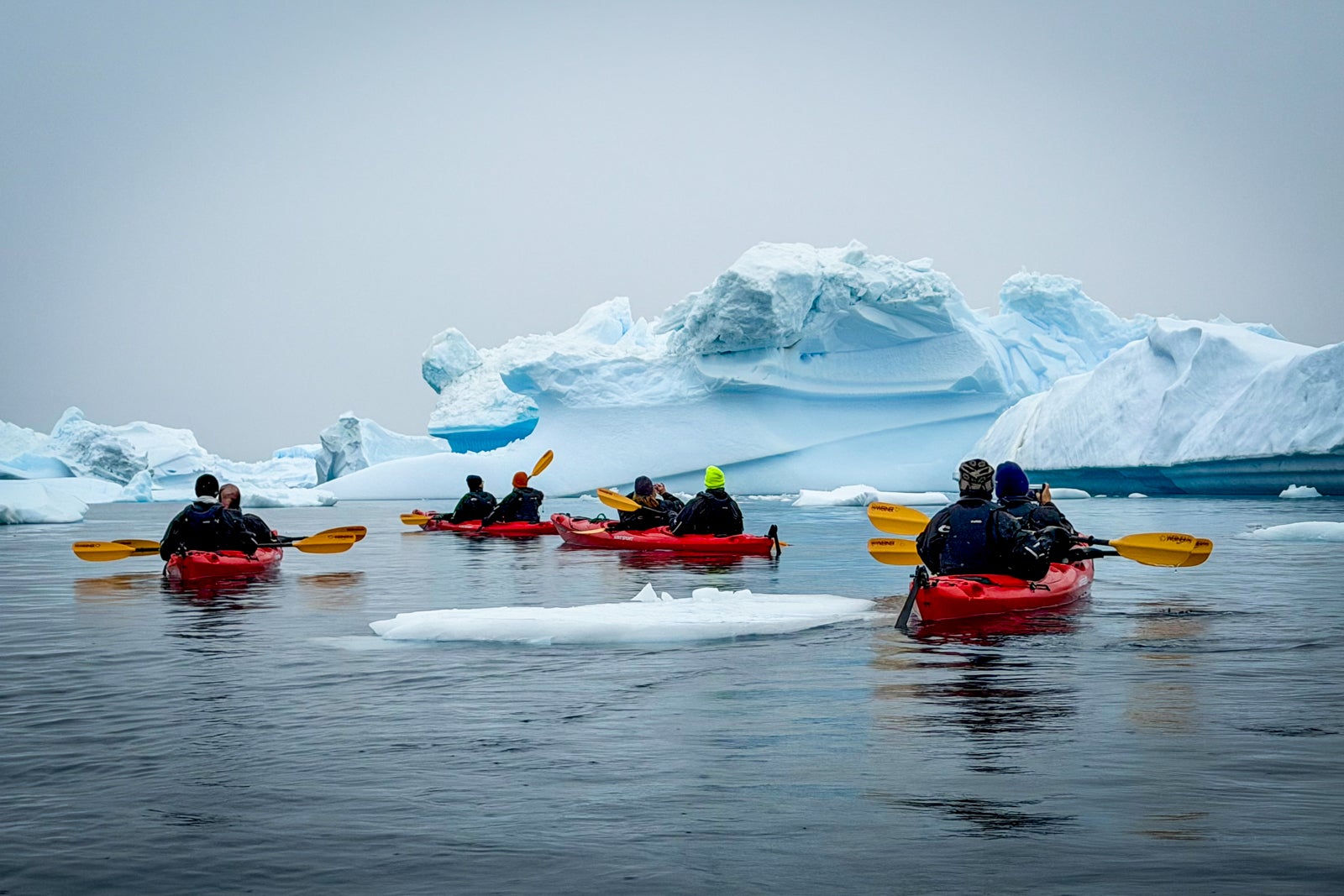 HX Expeditions Antarctica