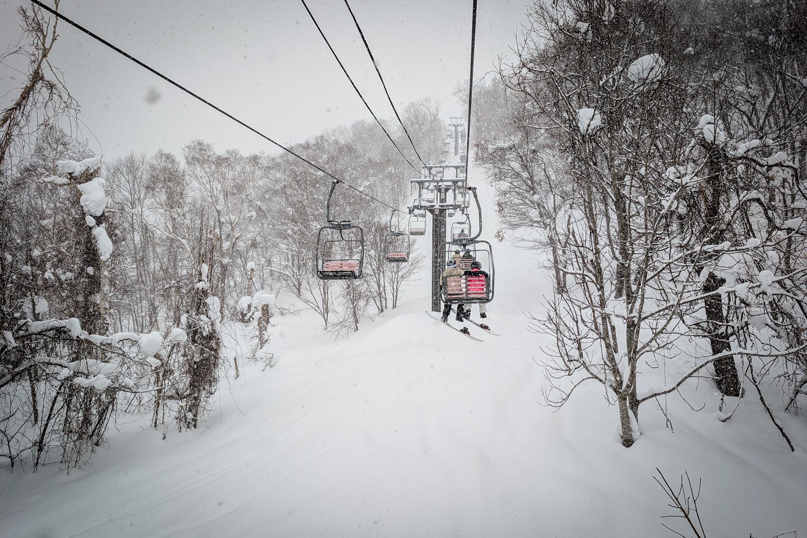 Niseko Ski