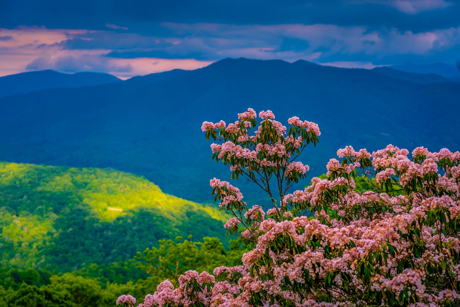 great-smoky-mountains-national-park_RONALDCMODRA-GETTYIMAGES